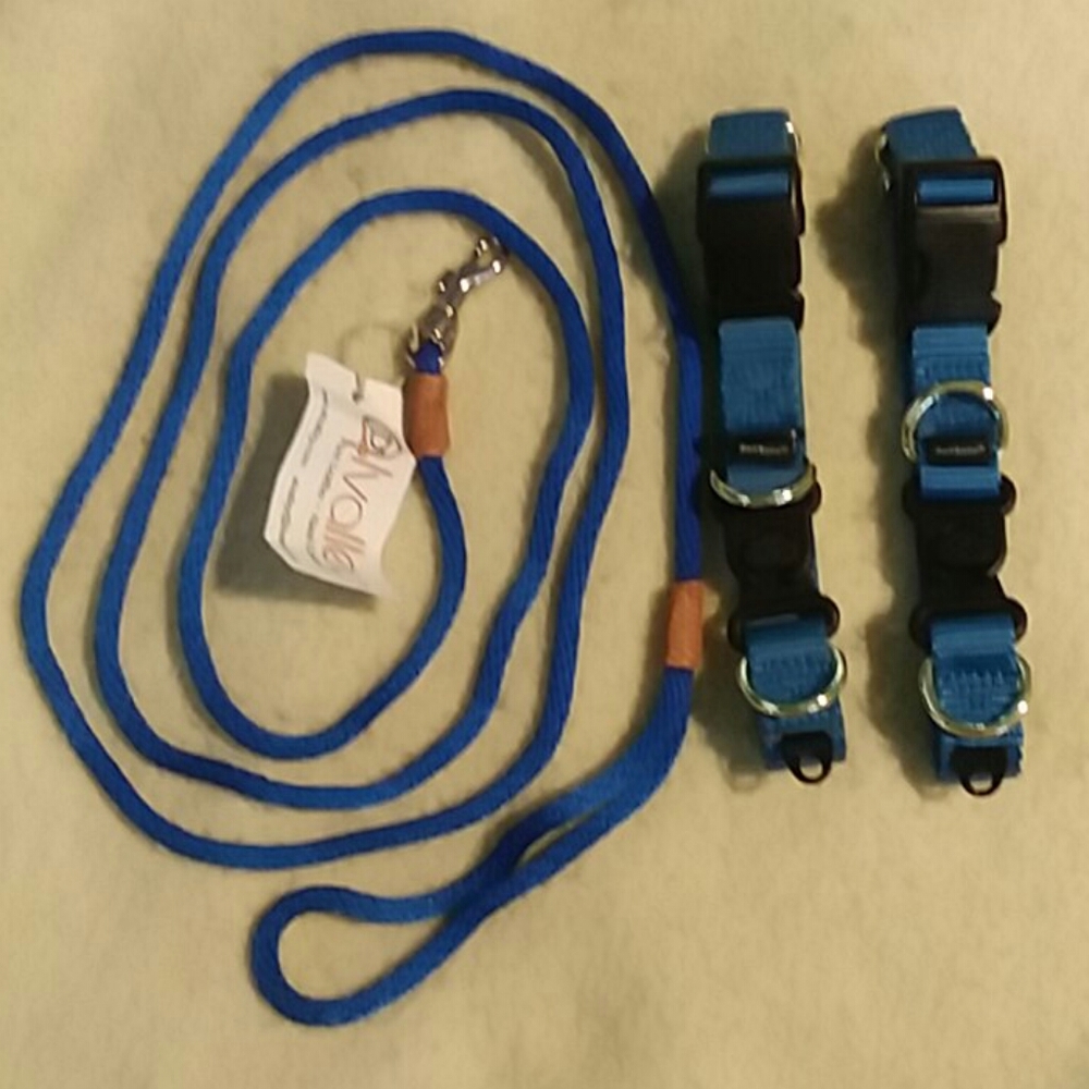 Snap Leash n Breakaway Collar Set